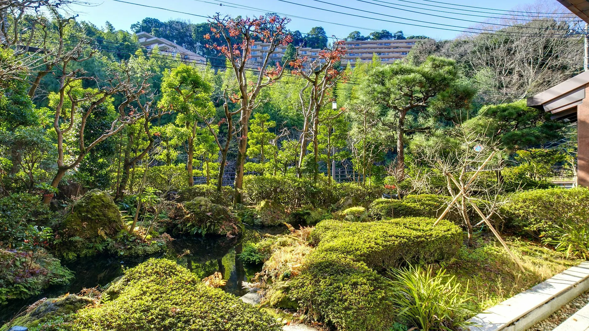 Yunosato Sugina Hotel Yugawara 2*,  Japan